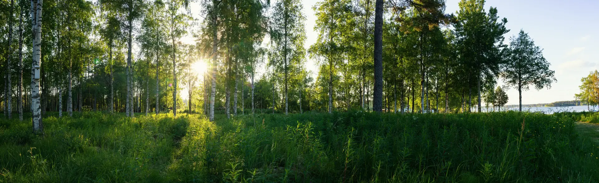 Ventilation i Sverige — InstalleraFTX.se